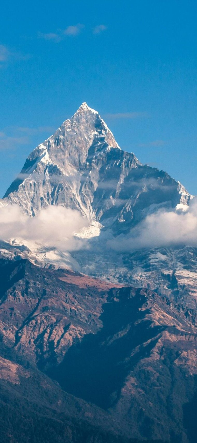 pexels-pixabay-417173